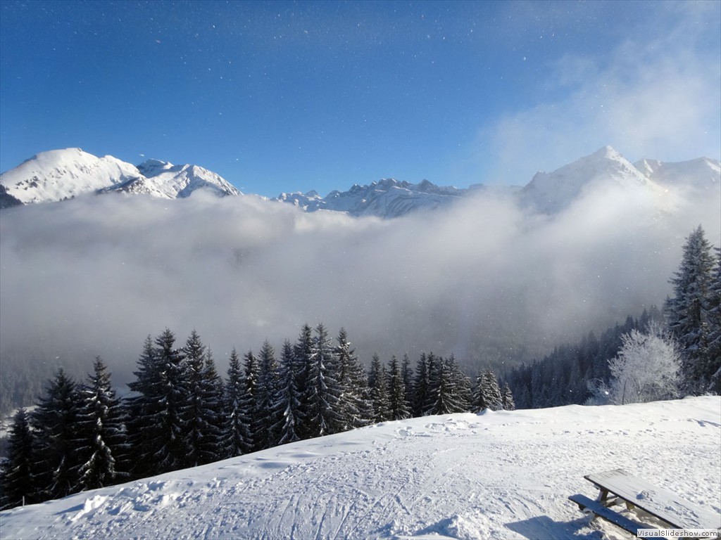 DSC04709