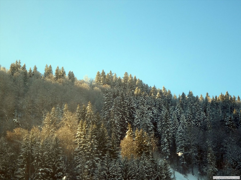 DSC04833