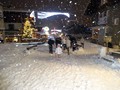 DSC04554