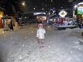 DSC04558