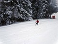 DSC04600