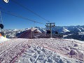 DSC04618