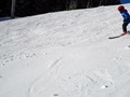 DSC04641