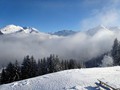 DSC04709
