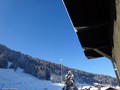 DSC04854