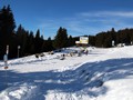 IMG_5881