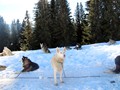 IMG_5890