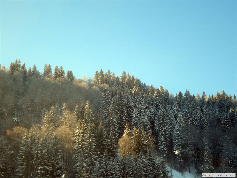 DSC04833