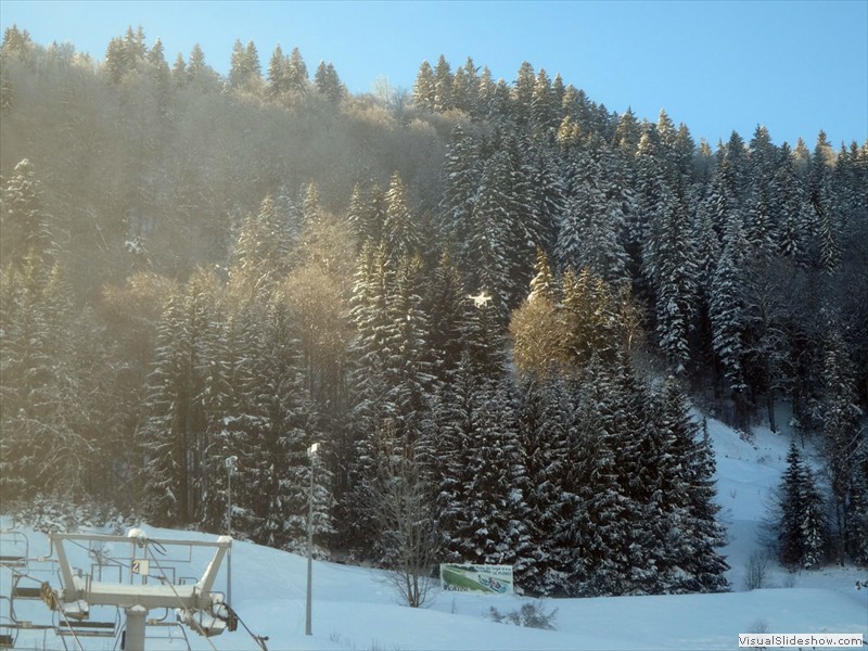 DSC04834