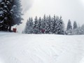 DSC04599
