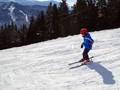 DSC04644