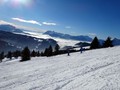 DSC04671