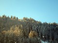 DSC04833