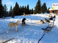 IMG_5887