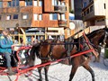 IMG_5910
