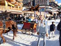 IMG_5914