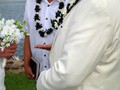 DSC05061